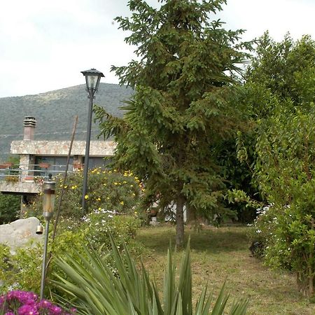 B&B La Vecchia Scuola Sonnino ภายนอก รูปภาพ