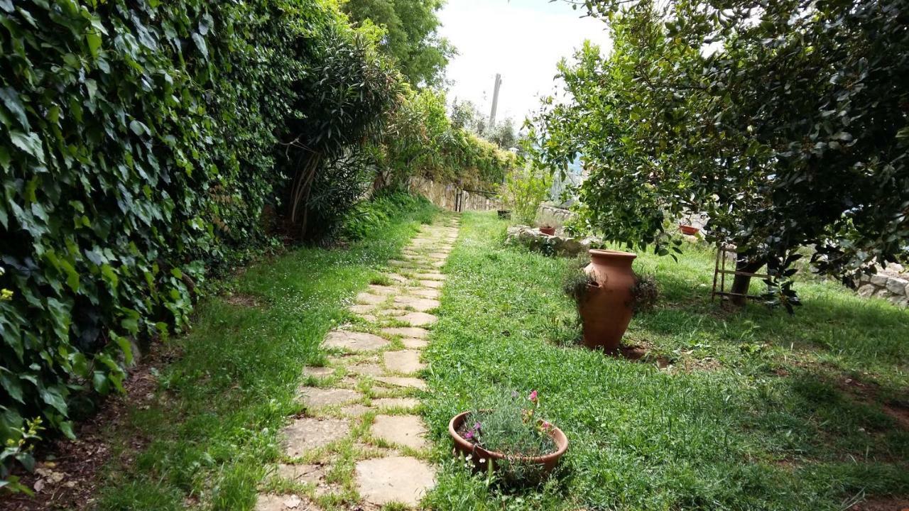 B&B La Vecchia Scuola Sonnino ภายนอก รูปภาพ